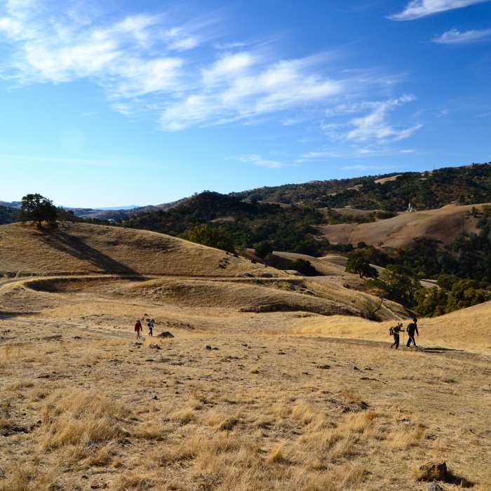 Near McCorkel Trail To Stars Rest Campground