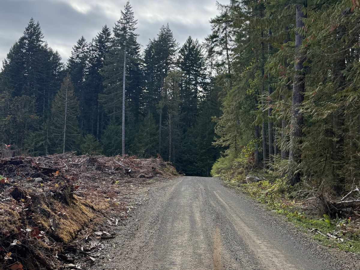 Saddle Mountain Road photo 3