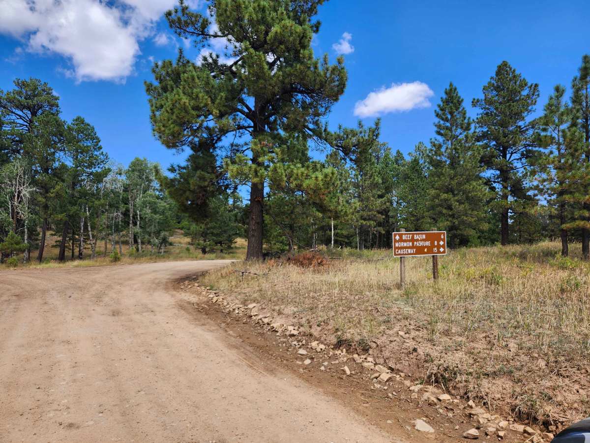 Causeway Road trail photo