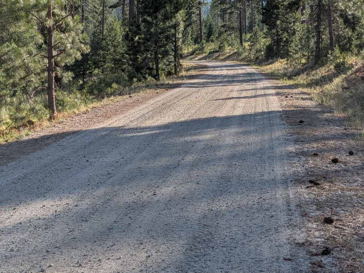 3700-100 Conger Creek Rd photo 2