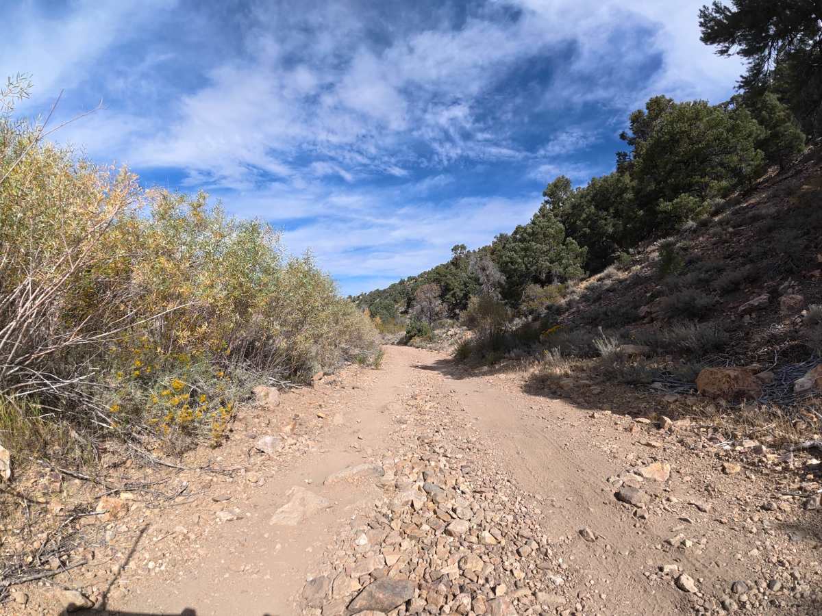 Masonic Gulch photo 5