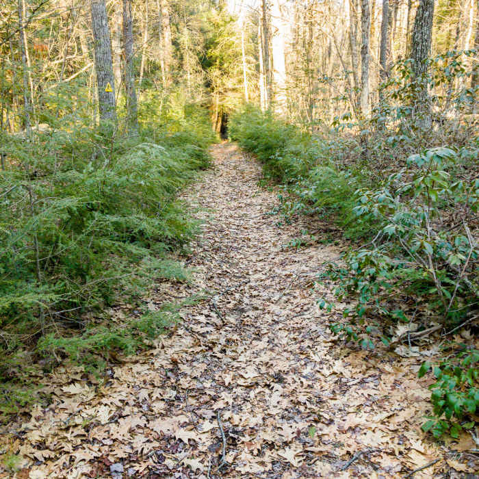 Near Savage Hill Wildlife Management Area