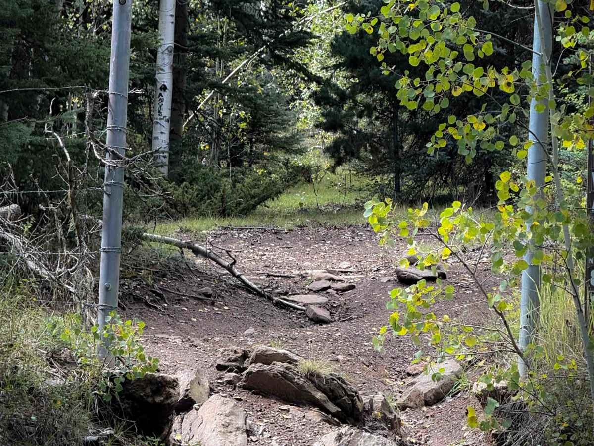 La Cueva Trail - FS 8  photo 2
