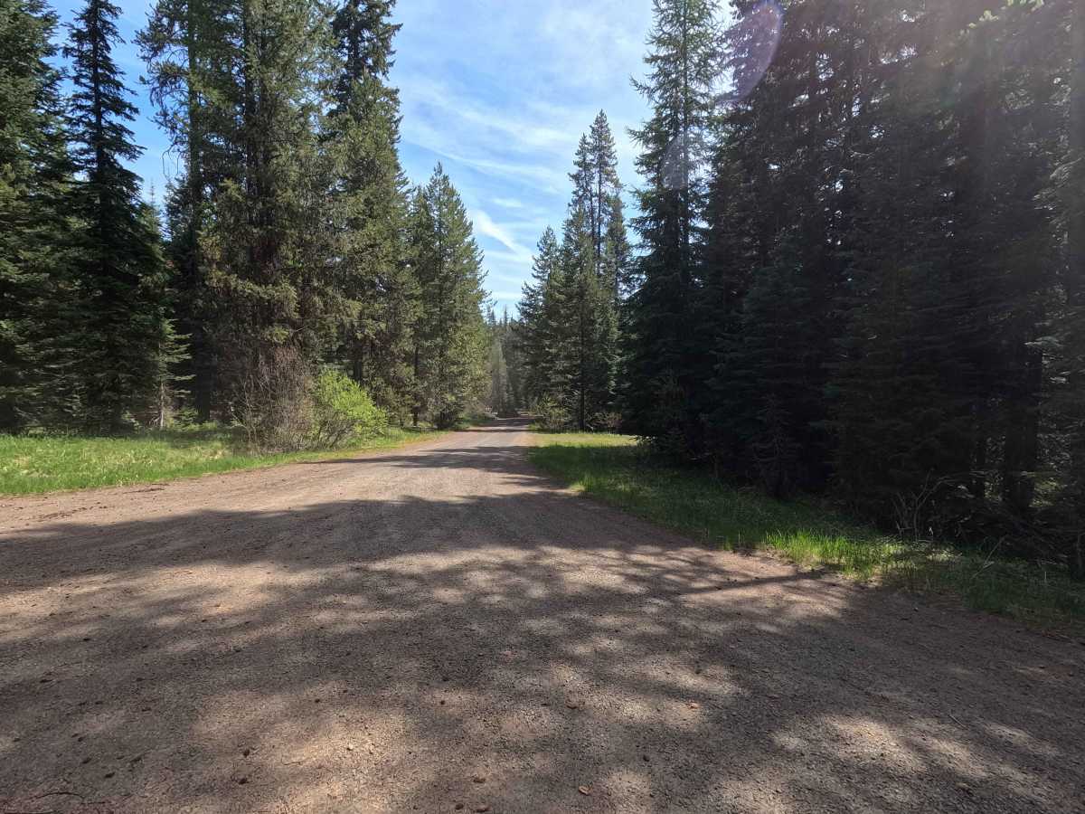 FS 6234 trail photo