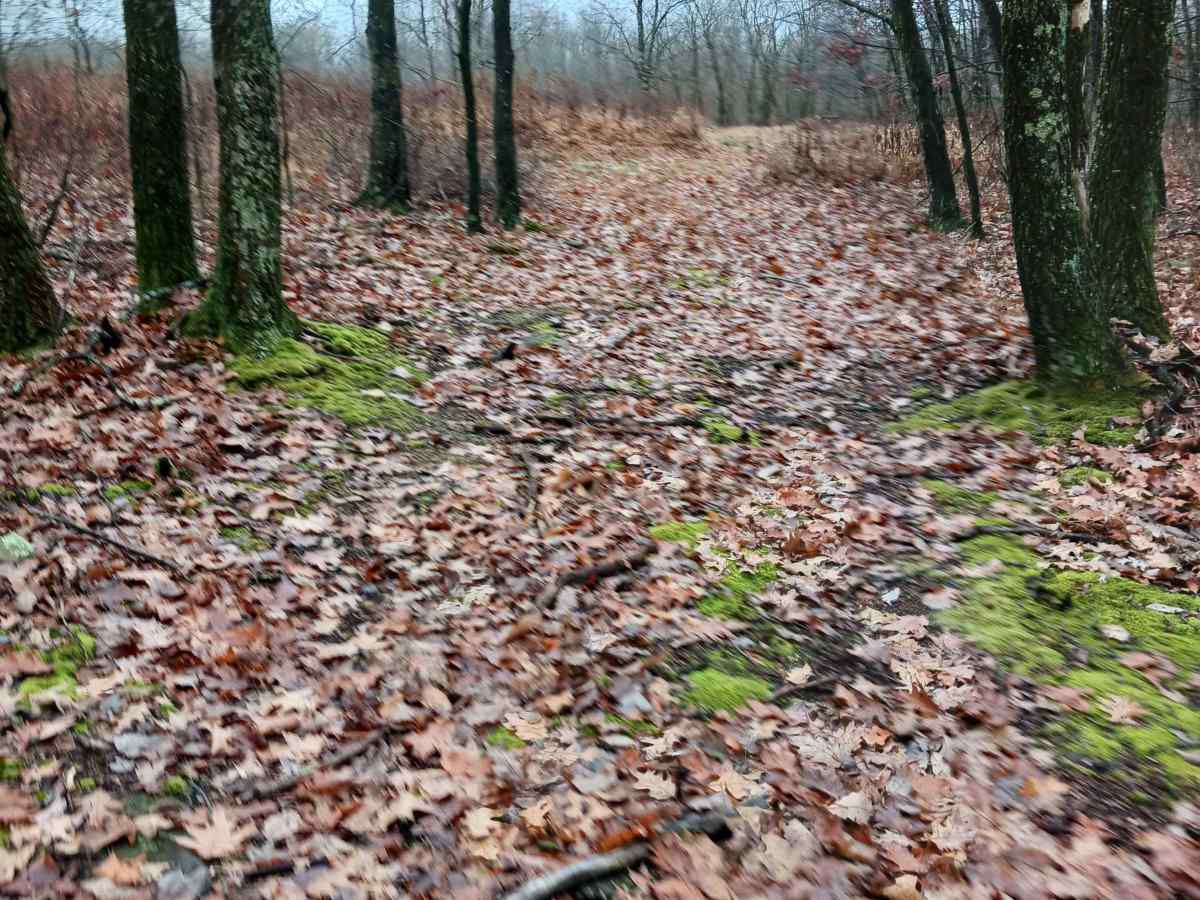 OHV 36 - Rock Run Recreation Area photo 2