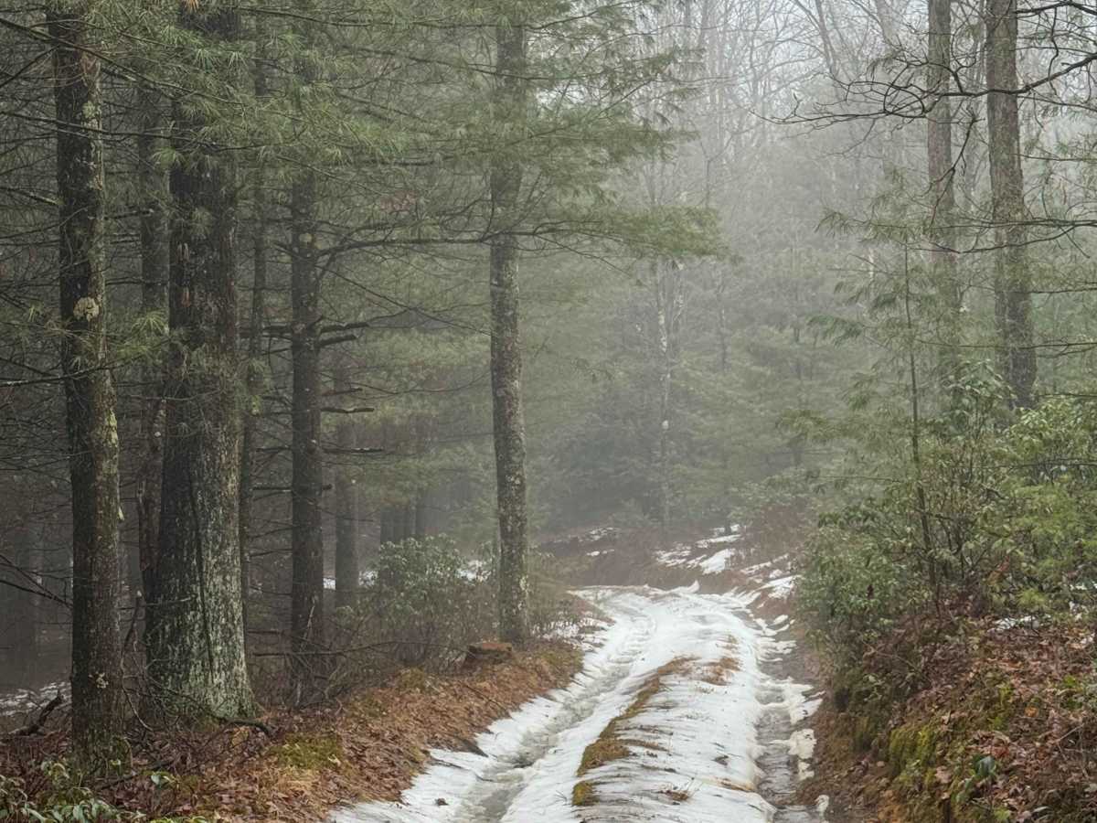 Smoke House Trail photo 6