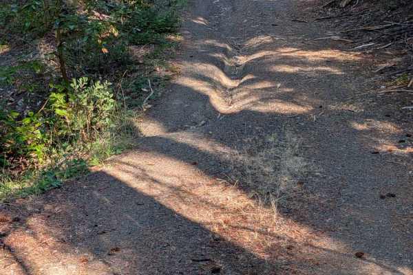 Round Knob Road - FS 5N27