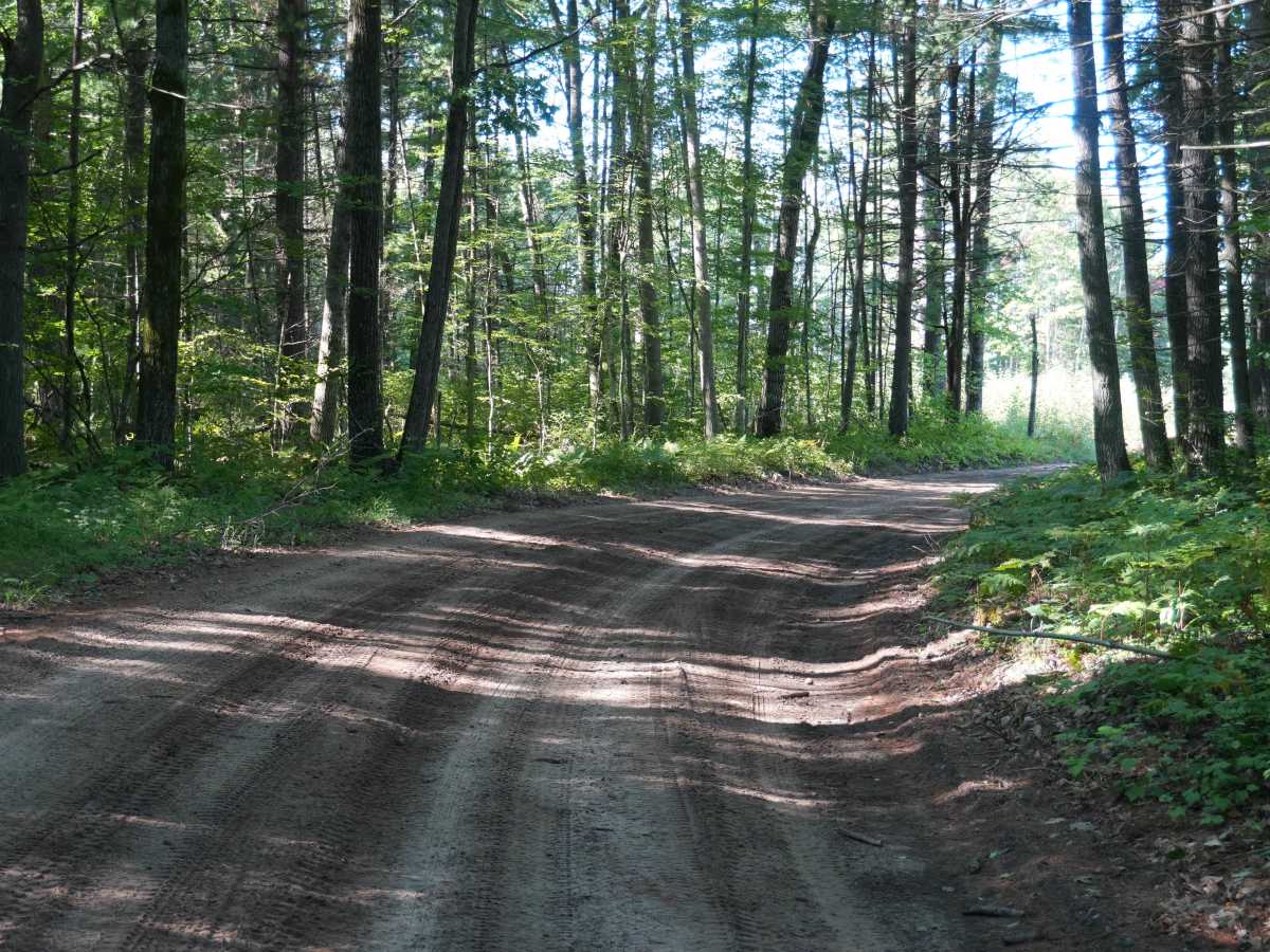 West Rollway Road photo 2
