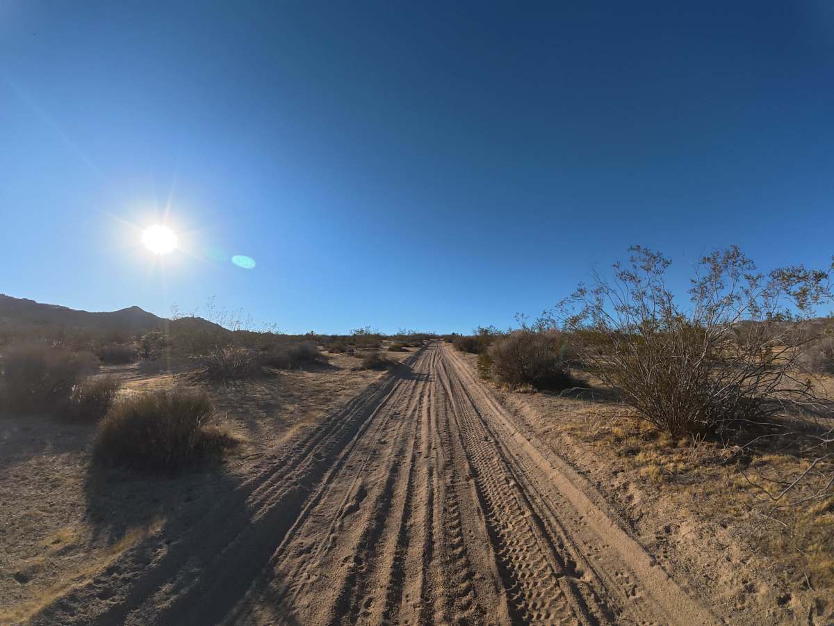 BLM SV2616 photo 3