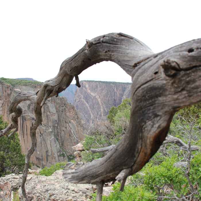 Near Chasm View Trail