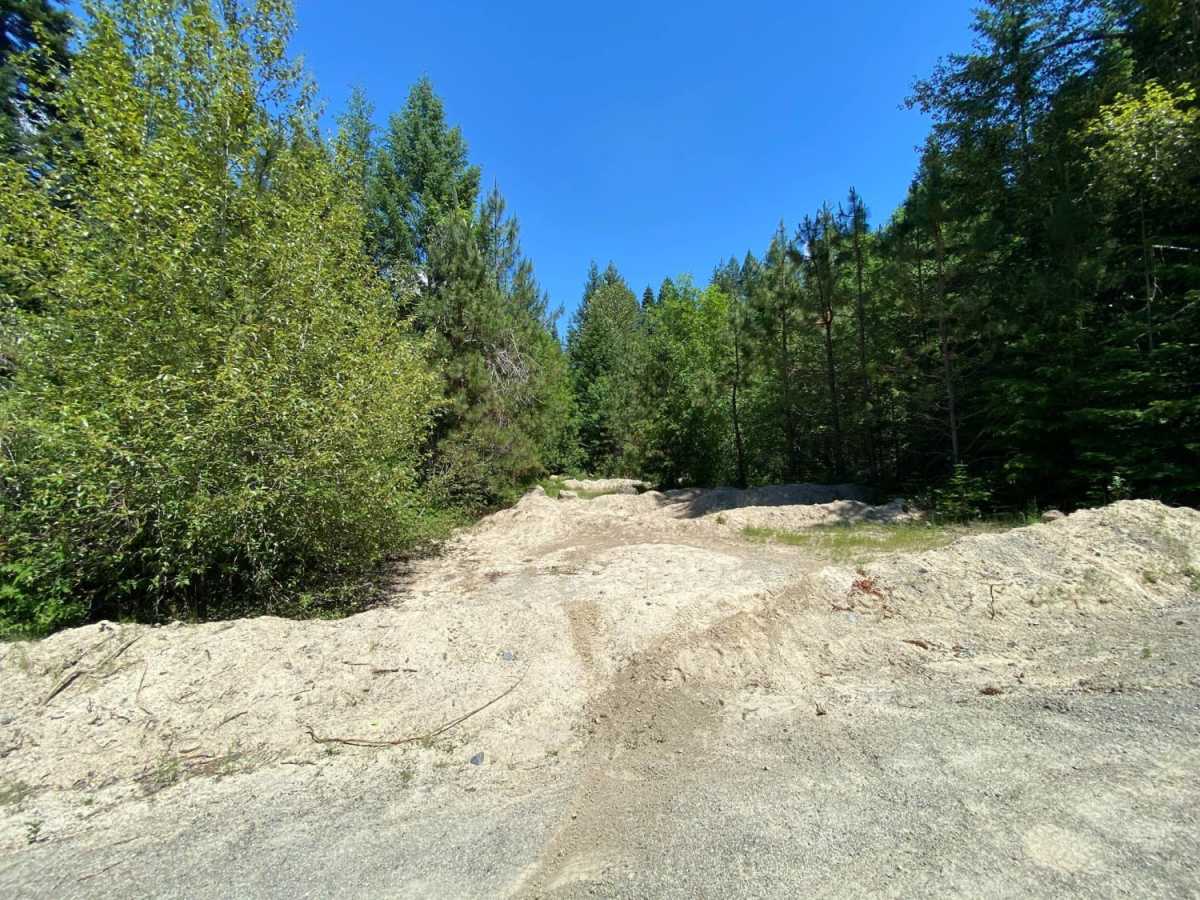 Elderberry Dead End photo 2