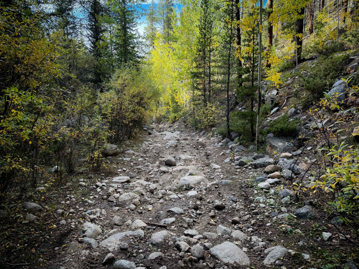 South Quartz Trail - FS 483 photo 2
