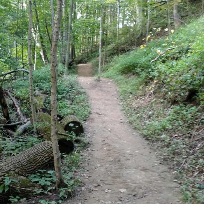 Near Spring Hollow Trail
