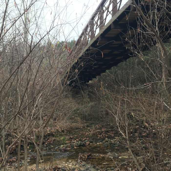 Near Frog Hollow Trail