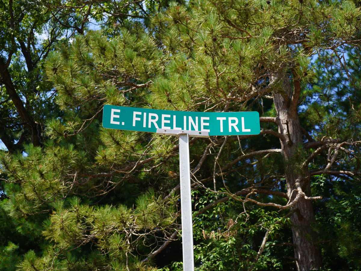 East Fireline Trail photo 2
