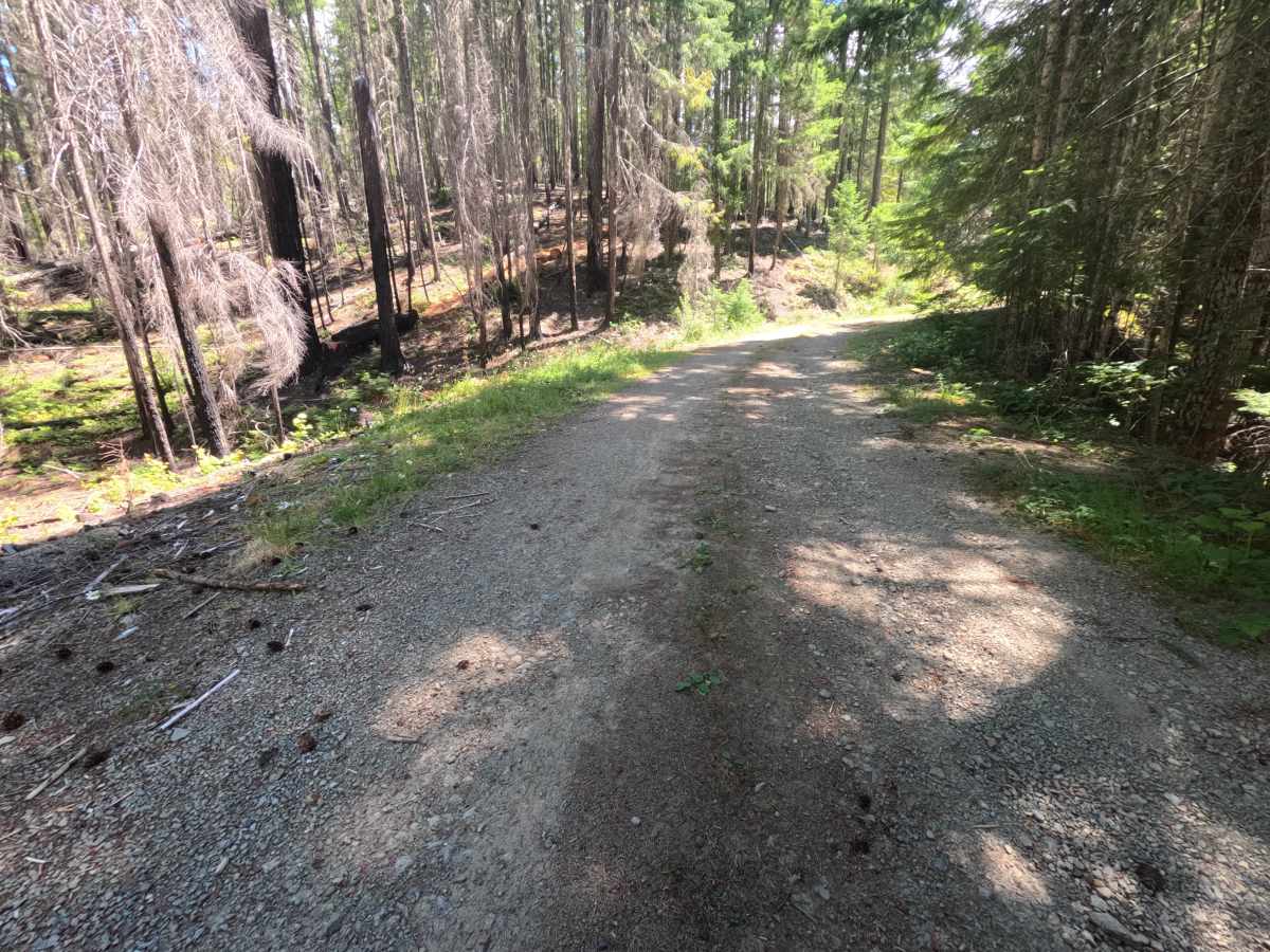 Purcell Creek - FS 4610000 trail photo