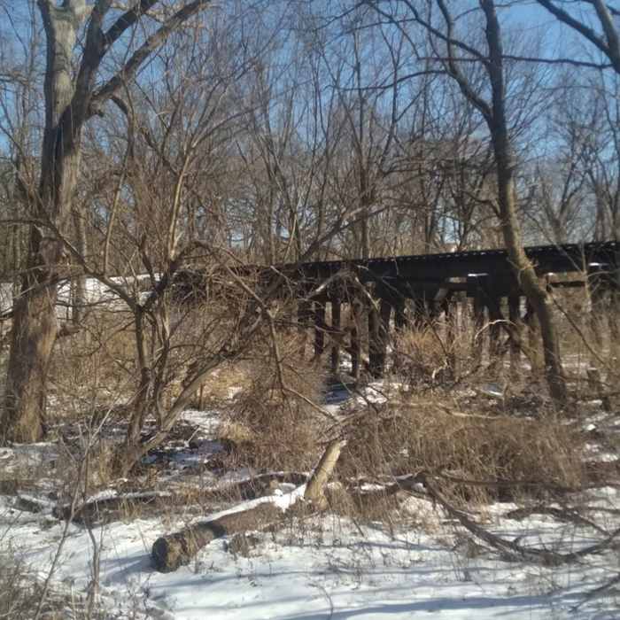 Near Millbrook South Forest Preserve Trail