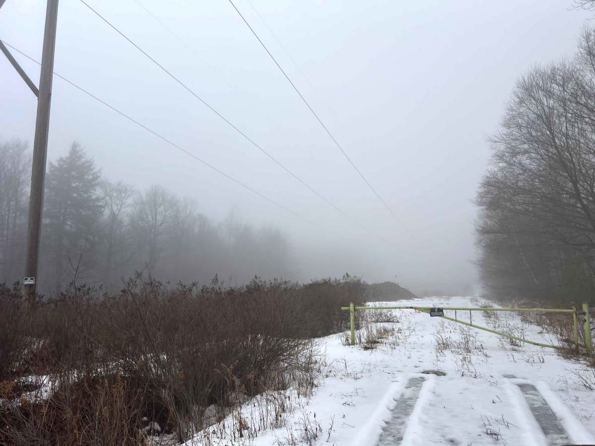 Powerline Road photo 6