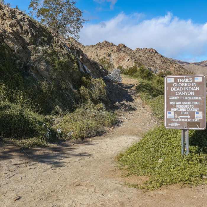 Near Dead Indian Canyon