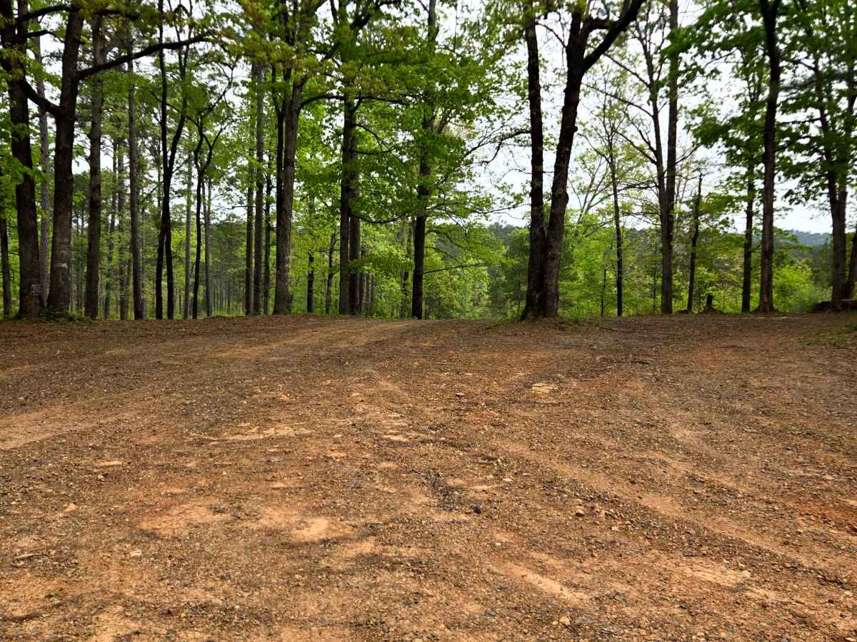 Firebreak Hunterwell photo 4