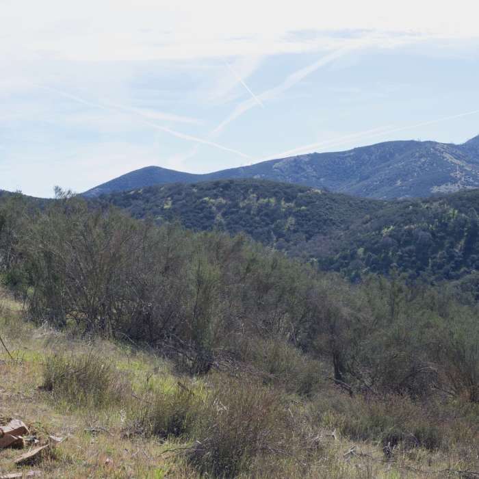 Near Jawbone Trail
