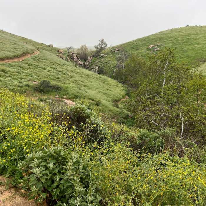 Near Sycamore Canyon