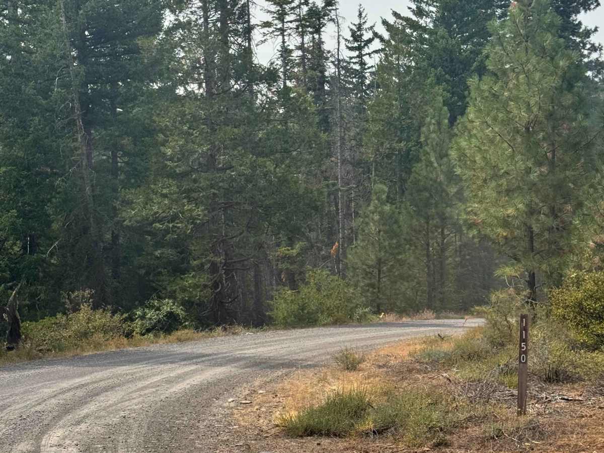 FS 1150 trail photo