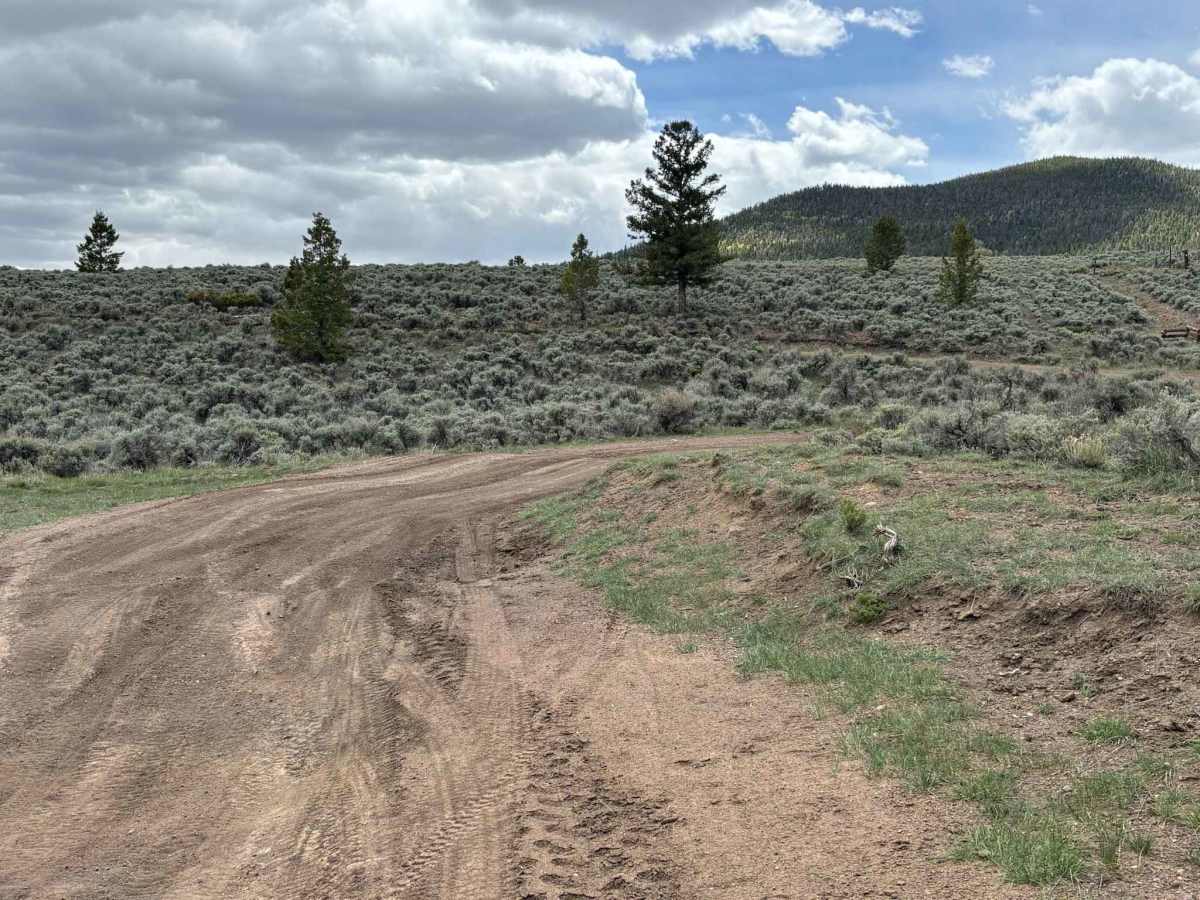 Clover Creek Road photo 4
