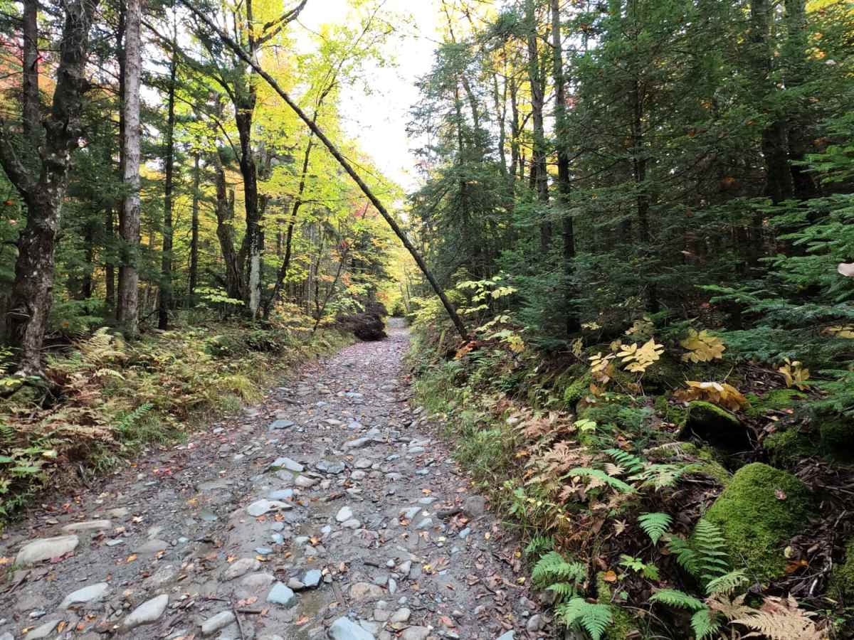 Lowell MTN / Baily-Hazen Military Road photo 4