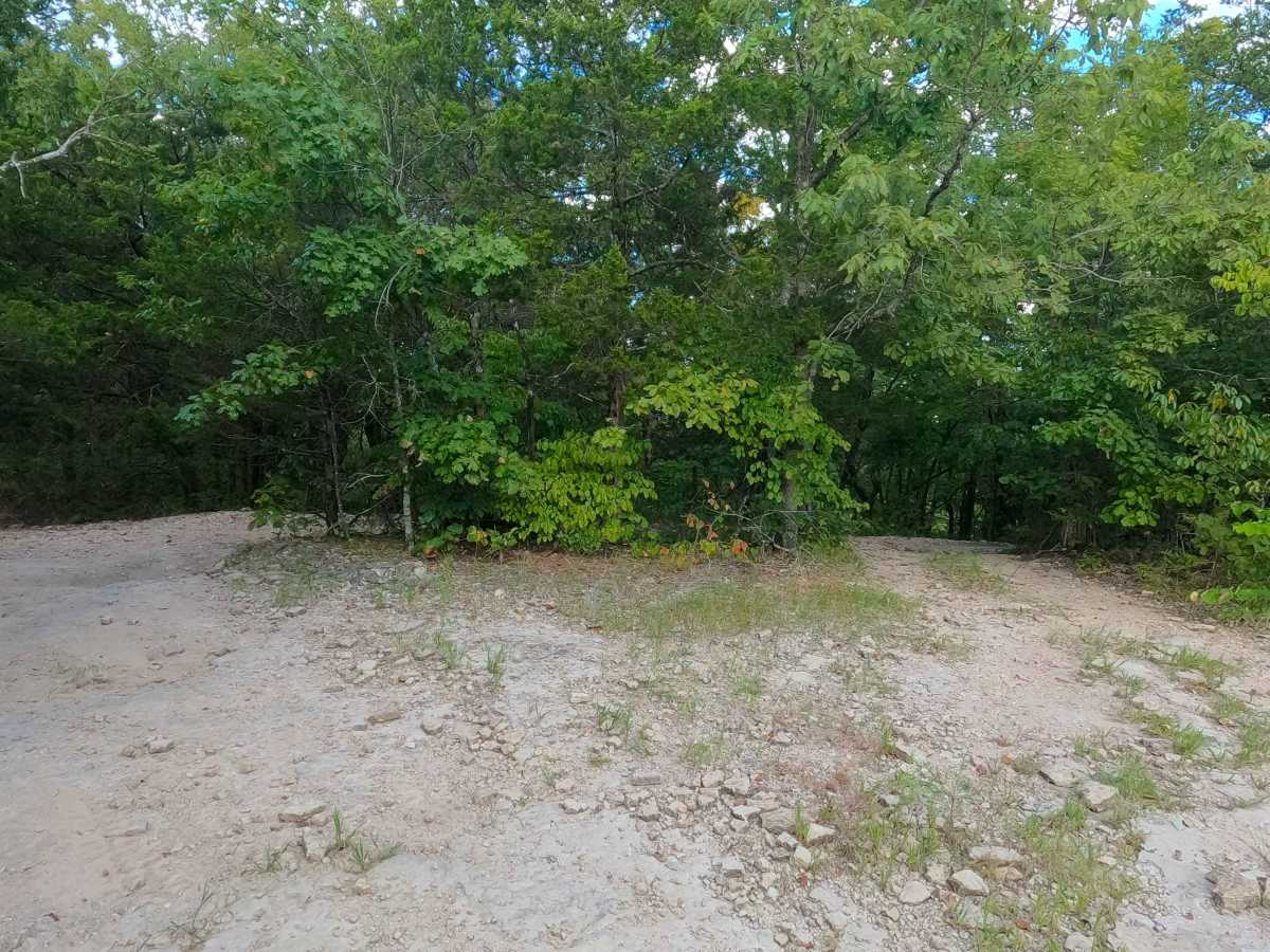 Pet Hollow - FS 507A trail photo