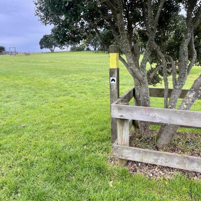 Near Ambury Foreshore Path Near Ambury Foreshore Path