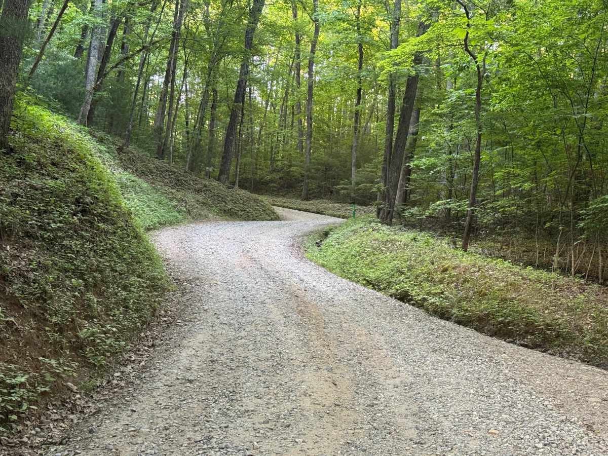 Beasley Knob North Entrance  - FS 93 photo 5