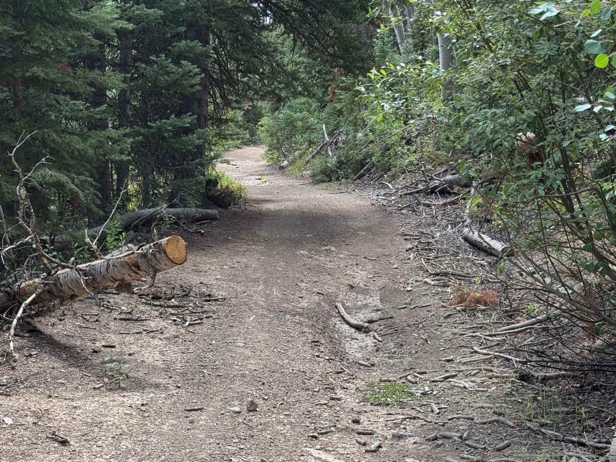 Upper Ways Gulch Road photo 3