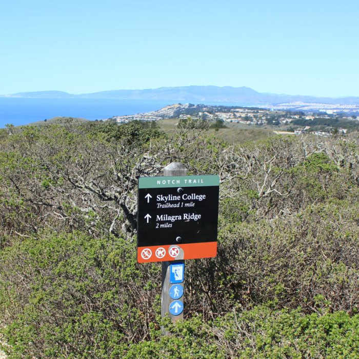Near Mori Ridge Trail