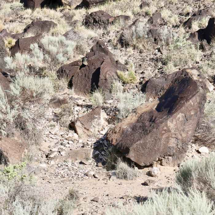 Near Rinconada Canyon Trail