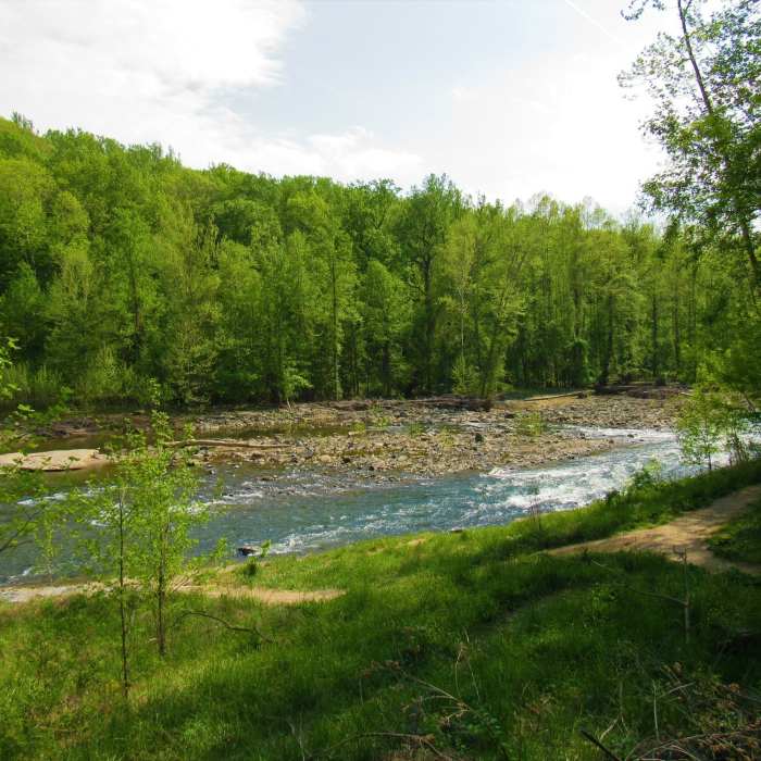Near Oella Mill Race Trail
