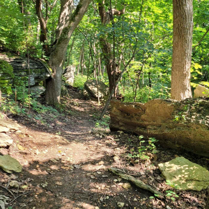Path through the woods and rocks on Wudchuck Run in Swope Park. Near Wudchuck Run (Phases 7 & 8)