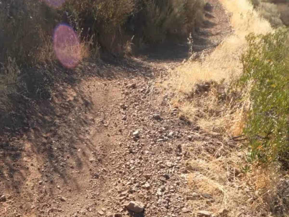 Brewers Trail photo 6