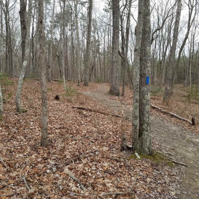 Near Upland Trail to Martha's Pretty Point