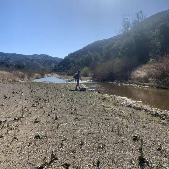 Near Santa Ynez Mountains Loop
