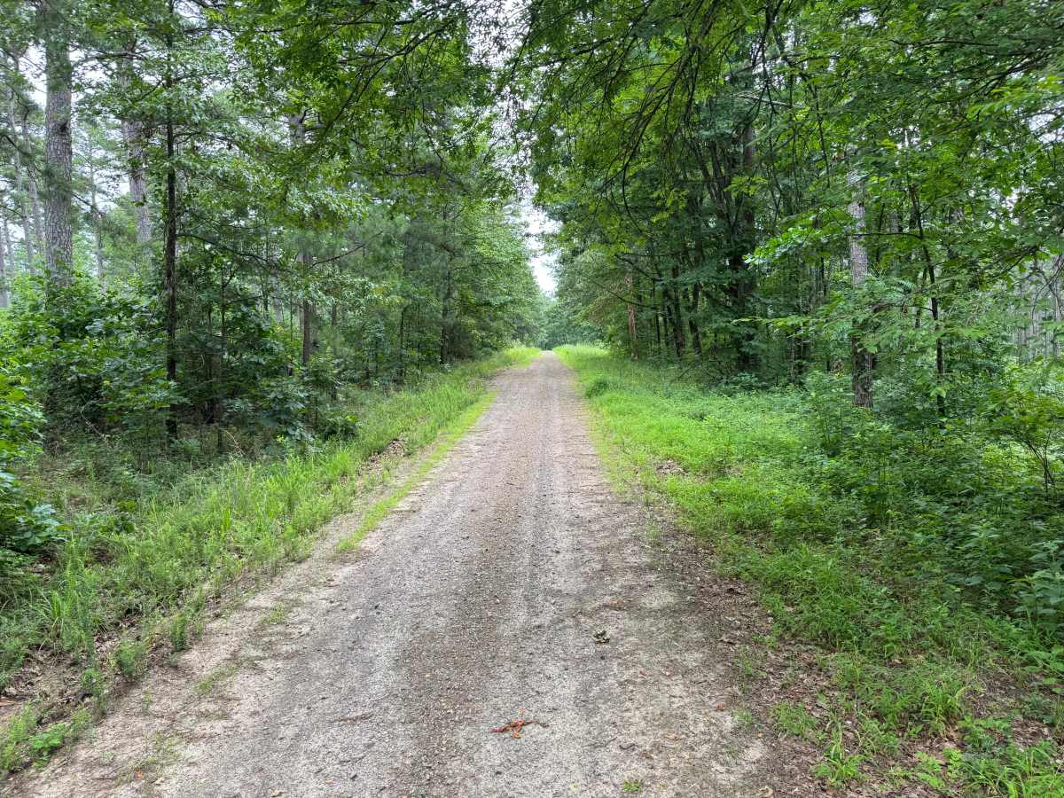 Devils Ridge photo 3