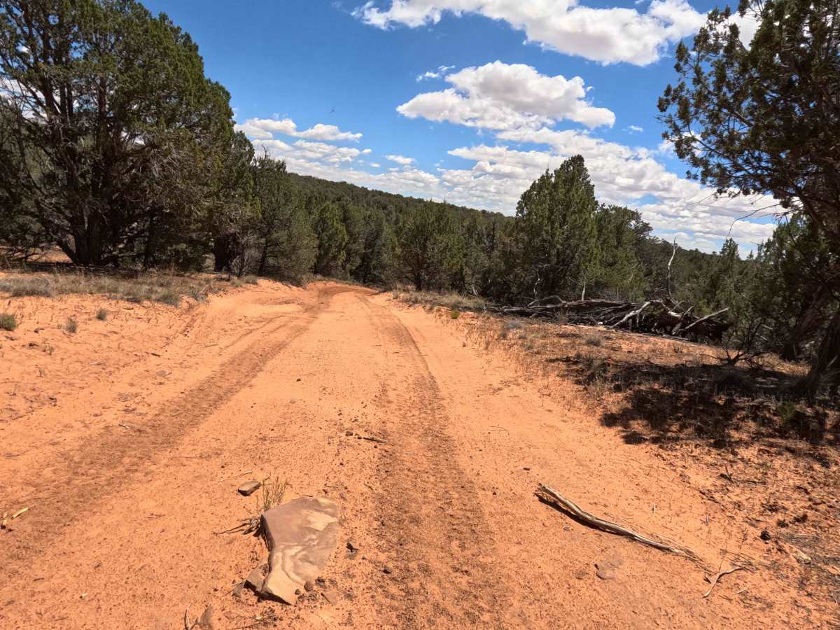 BLM 101M trail photo