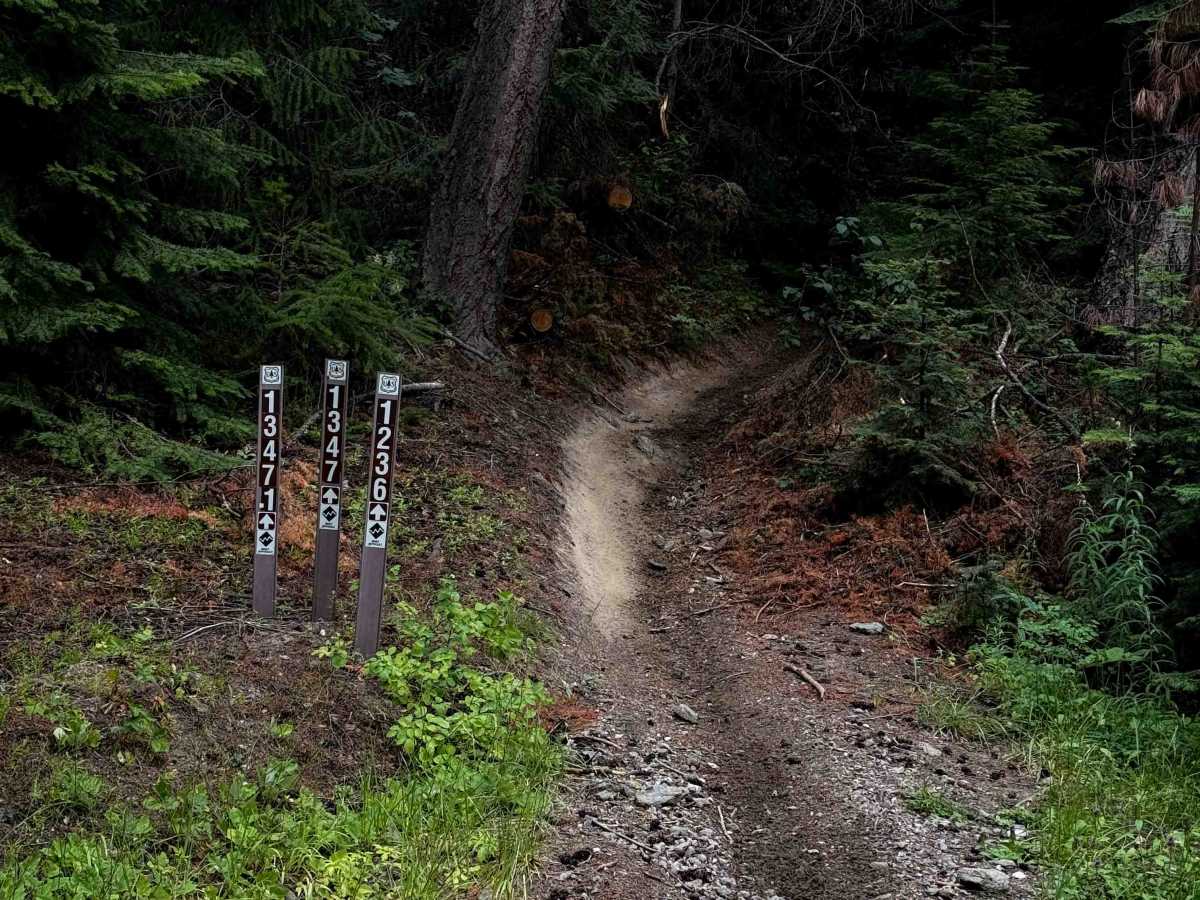 Hoyt Mine - FS 1347 trail photo