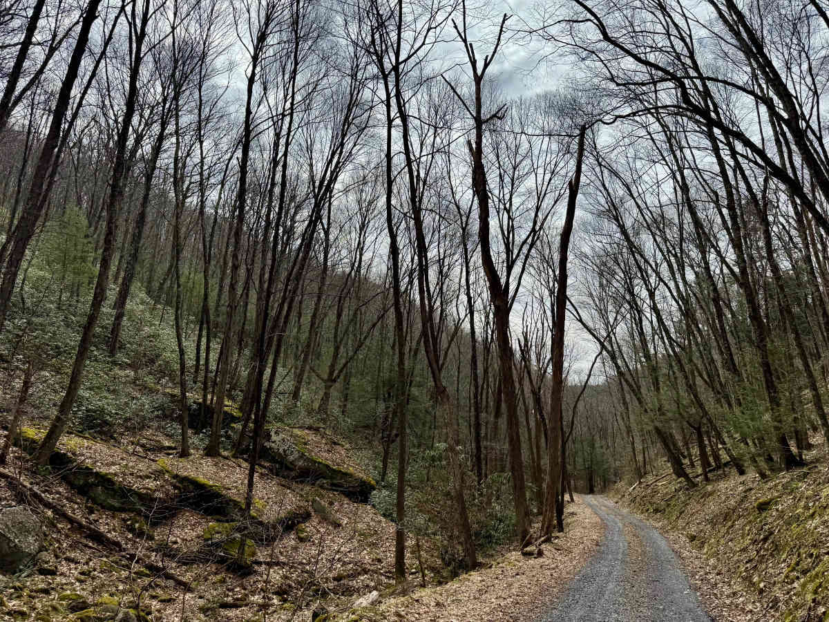 Mill Run Road trail photo