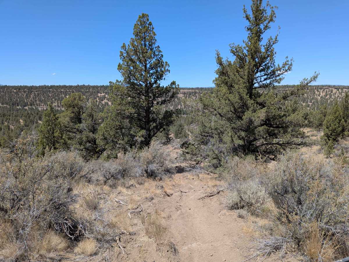Cline Buttes OHV Trail 45 Loop photo 6