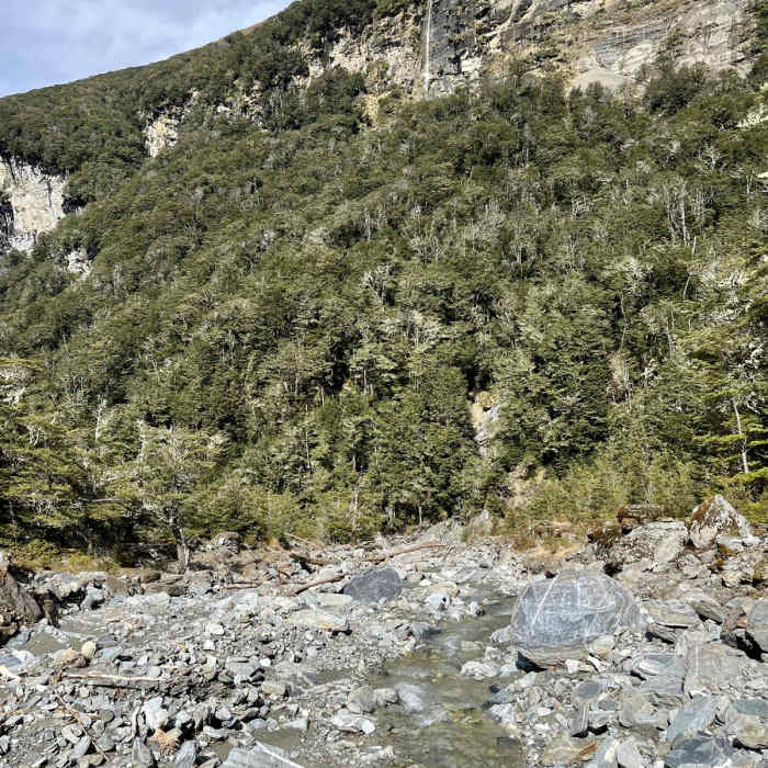 Near Earnslaw Burn Track Near Earnslaw Burn Track