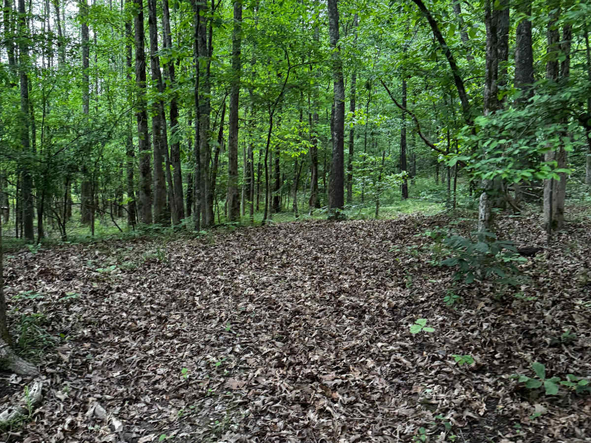 Hillside Trail photo 3