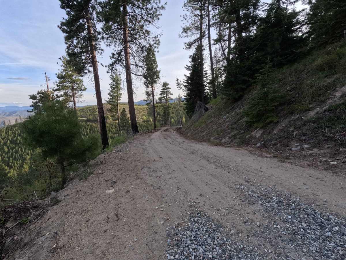 Tyee Lookout Road - FS 5713 photo 5