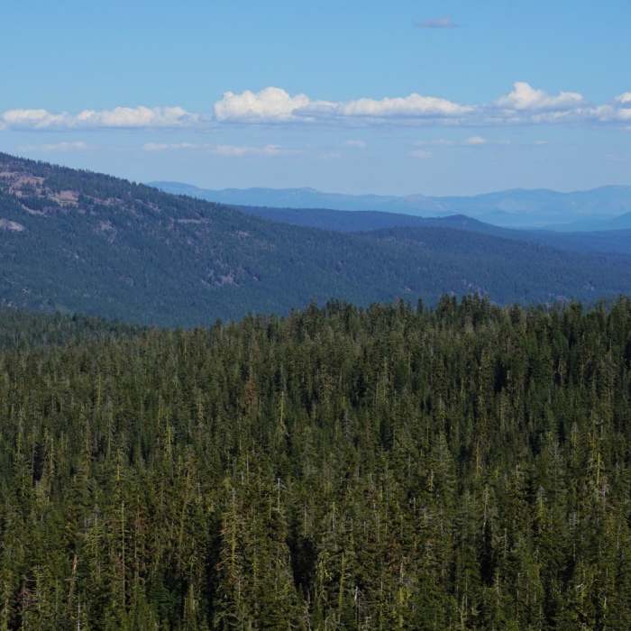 Near Kings Creek Trail