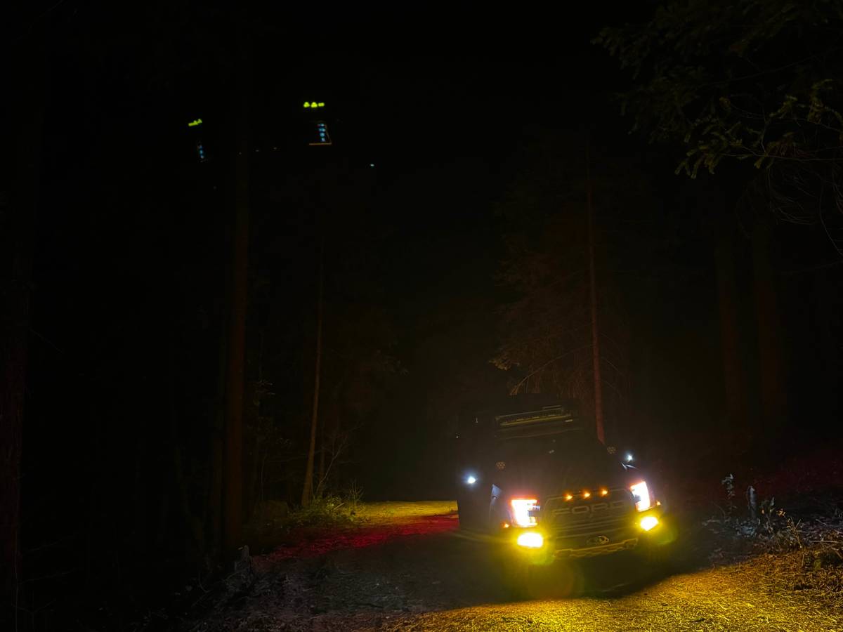 Skinner photo 5